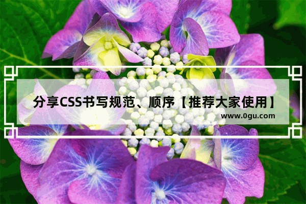 分享CSS书写规范、顺序【推荐大家使用】