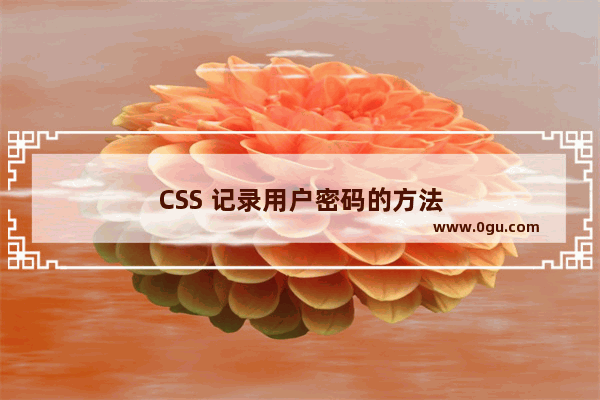 CSS 记录用户密码的方法