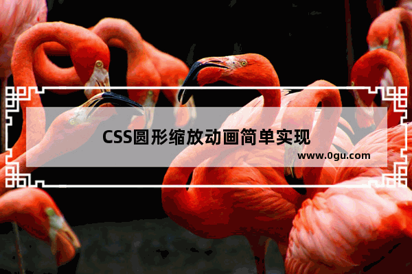 CSS圆形缩放动画简单实现