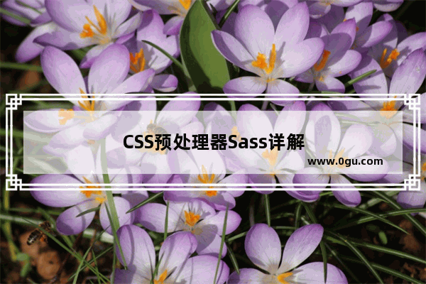 CSS预处理器Sass详解