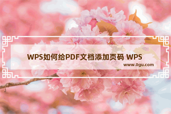 WPS如何给PDF文档添加页码 WPS PDF文档设置页码的方法