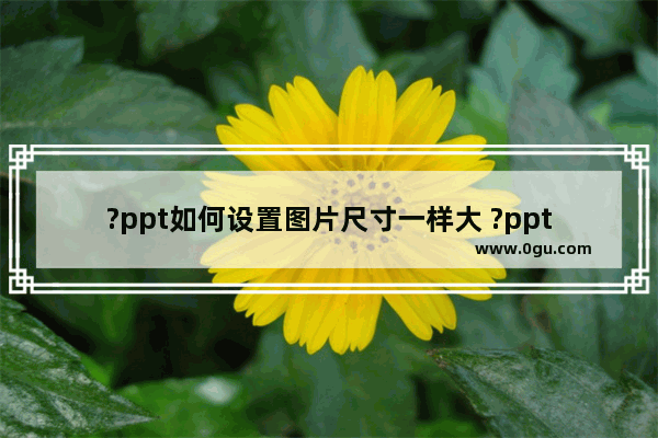 ?ppt如何设置图片尺寸一样大 ?ppt设置图片尺寸一样大的方法