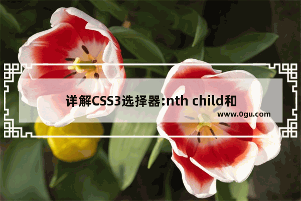 详解CSS3选择器:nth child和:nth of type之间的差异