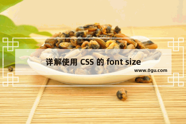 详解使用 CSS 的 font size adjust 属性改善网页排版