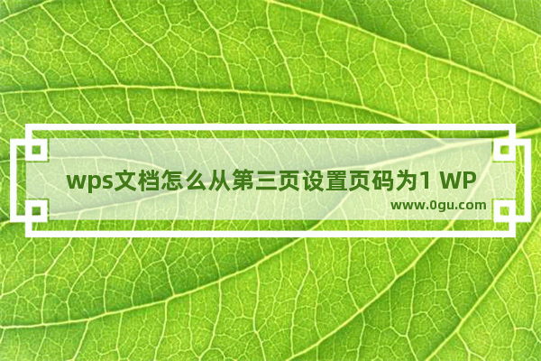 wps文档怎么从第三页设置页码为1 WPS Word设置页码从第三页开始为1的方法