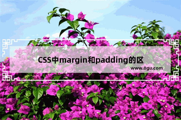 CSS中margin和padding的区别浅析