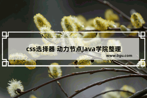 css选择器 动力节点Java学院整理