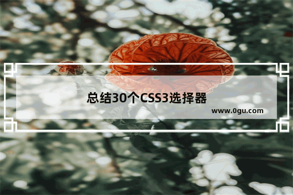 总结30个CSS3选择器