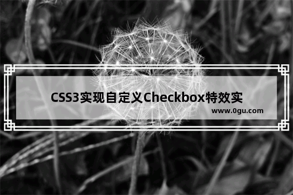 CSS3实现自定义Checkbox特效实例代码