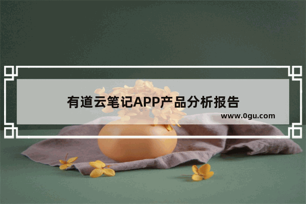 有道云笔记APP产品分析报告