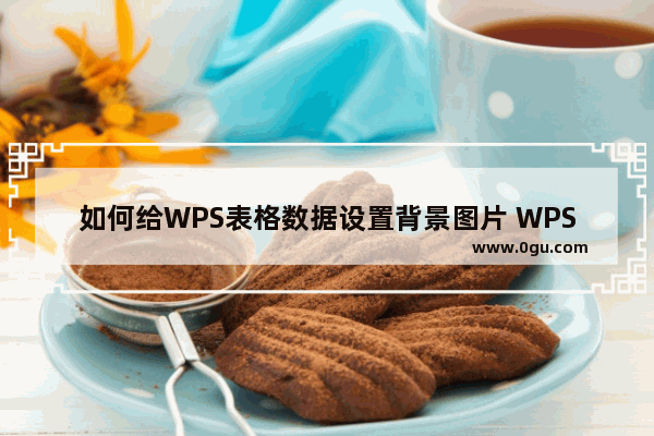 如何给WPS表格数据设置背景图片 WPS Excel设置表格背景图片的方法