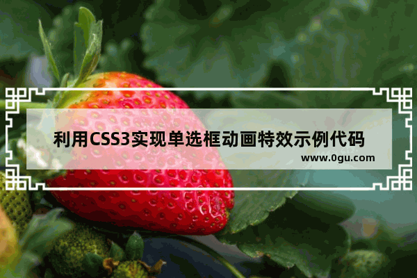 利用CSS3实现单选框动画特效示例代码