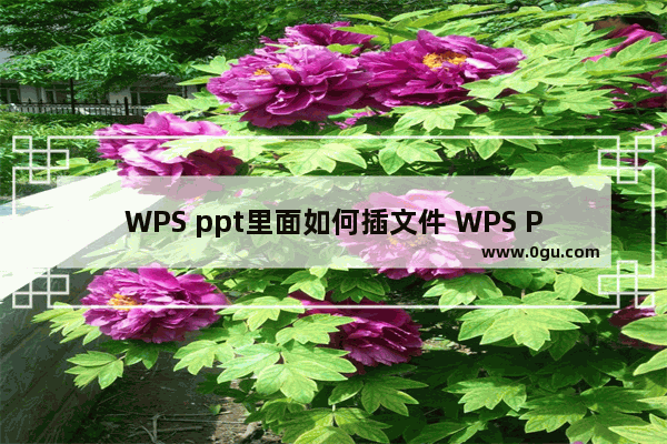 WPS ppt里面如何插文件 WPS PPT插入文件的方法