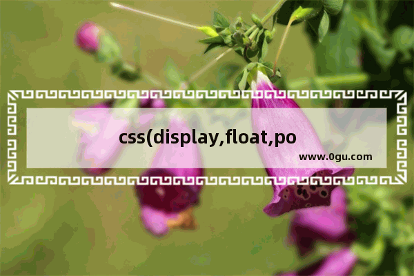 css(display,float,position)深入理解