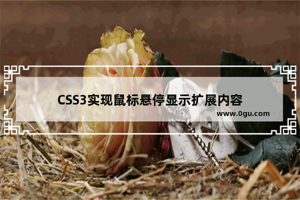 CSS3实现鼠标悬停显示扩展内容