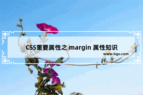 CSS重要属性之 margin 属性知识大整合(必看篇)