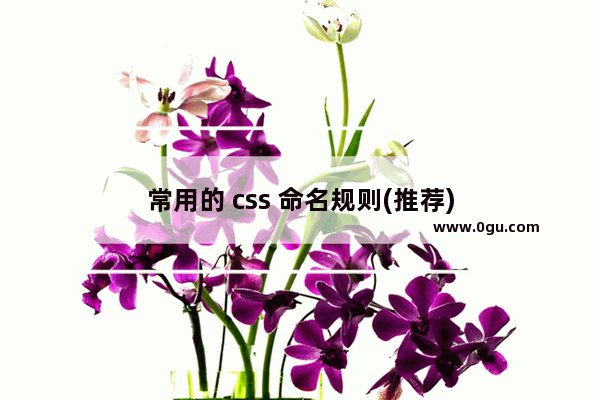 常用的 css 命名规则(推荐)