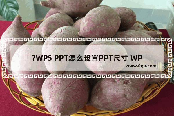 ?WPS PPT怎么设置PPT尺寸 WPS演示文稿中设置幻灯片页面尺寸的方法教程