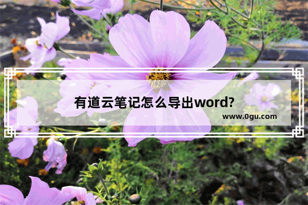 有道云笔记怎么导出word?