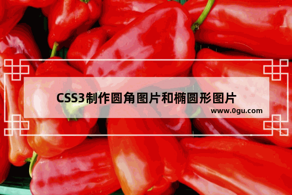 CSS3制作圆角图片和椭圆形图片