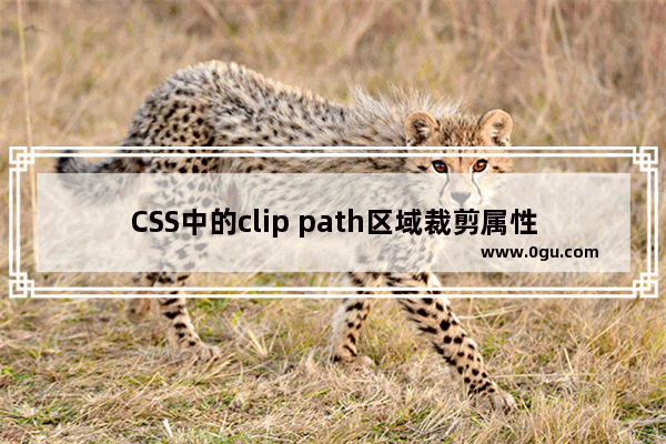 CSS中的clip path区域裁剪属性使用教程