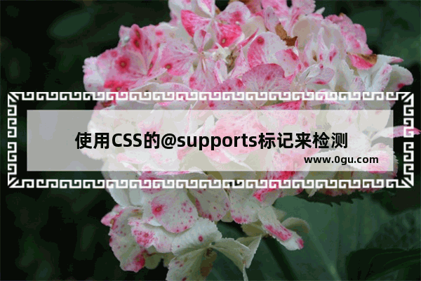 使用CSS的@supports标记来检测浏览器的兼容情况