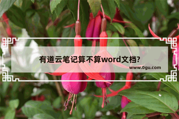 有道云笔记算不算word文档?