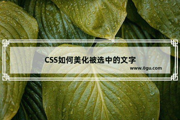 CSS如何美化被选中的文字