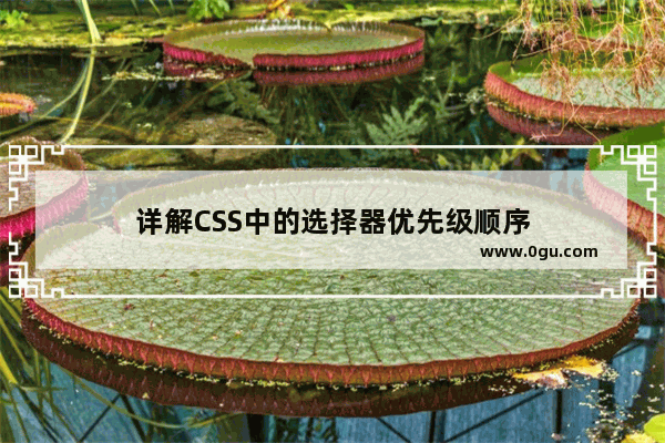 详解CSS中的选择器优先级顺序