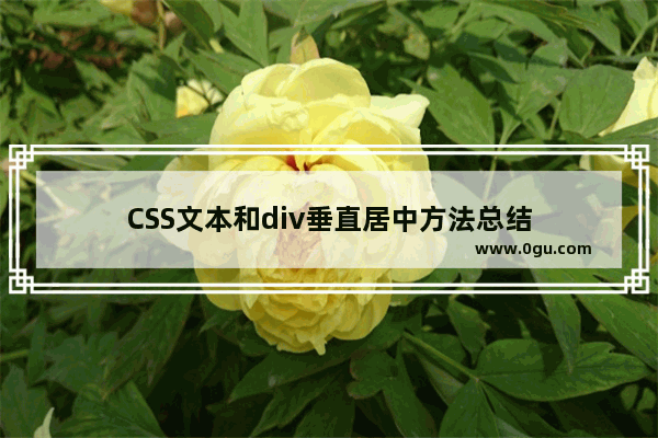 CSS文本和div垂直居中方法总结