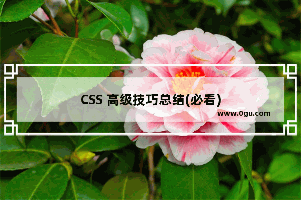 CSS 高级技巧总结(必看)