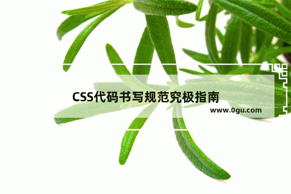 CSS代码书写规范究极指南