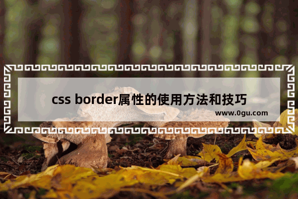 css border属性的使用方法和技巧