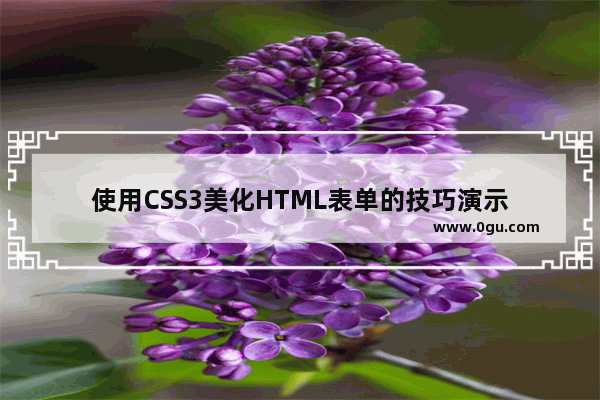 使用CSS3美化HTML表单的技巧演示