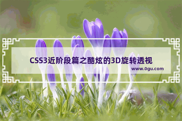 CSS3近阶段篇之酷炫的3D旋转透视