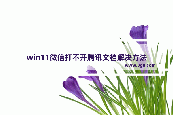 win11微信打不开腾讯文档解决方法