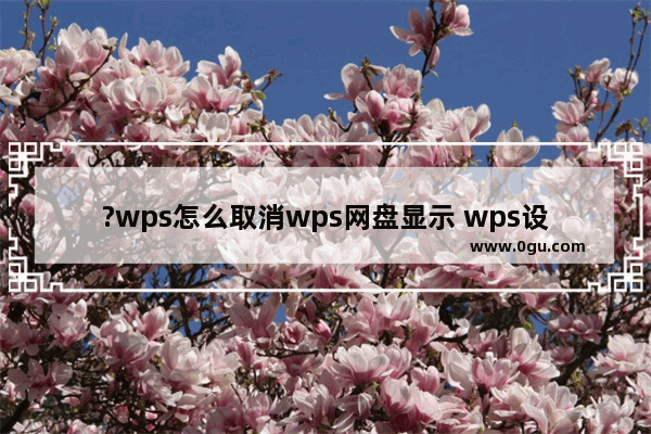 ?wps怎么取消wps网盘显示 wps设置wps网盘不显示在系统托盘的方法