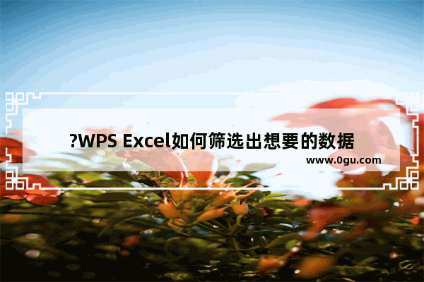 ?WPS Excel如何筛选出想要的数据 WPS表格中筛选数据的方法教程