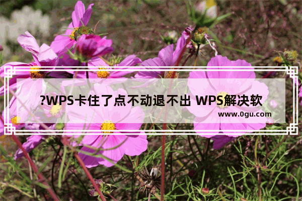 ?WPS卡住了点不动退不出 WPS解决软件卡住了但电脑没卡的方法教程