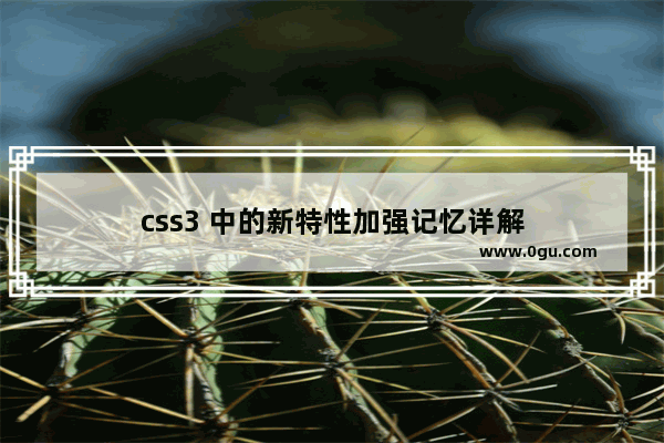 css3 中的新特性加强记忆详解