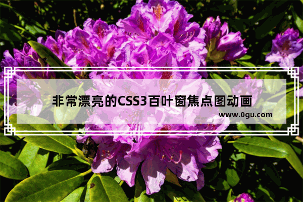 非常漂亮的CSS3百叶窗焦点图动画