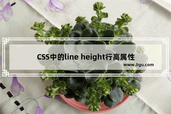 CSS中的line height行高属性的使用技巧小结