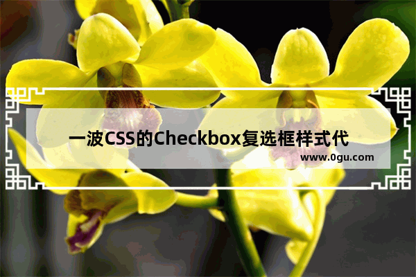 一波CSS的Checkbox复选框样式代码分享