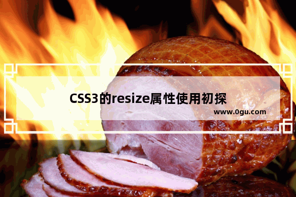 CSS3的resize属性使用初探