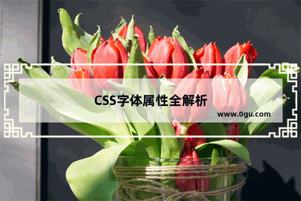 CSS字体属性全解析