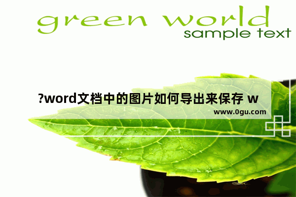 ?word文档中的图片如何导出来保存 word文档另存图片的方法