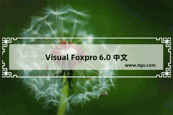 Visual Foxpro 6.0 中文版安装向导(图解)