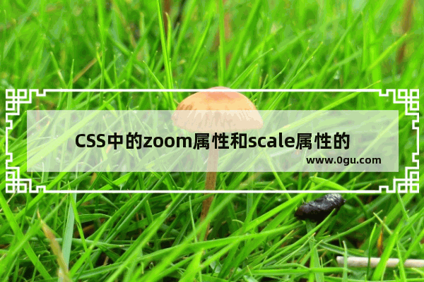 CSS中的zoom属性和scale属性的用法及区别