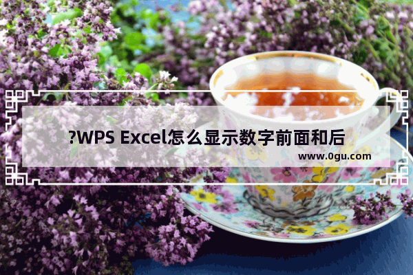 ?WPS Excel怎么显示数字前面和后面的0 WPS表格显示数字前后的0值的方法教程