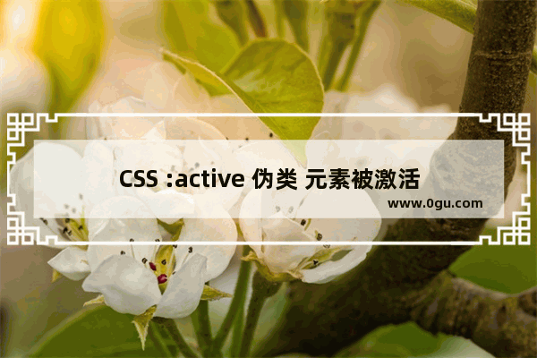 CSS :active 伪类 元素被激活时的样式